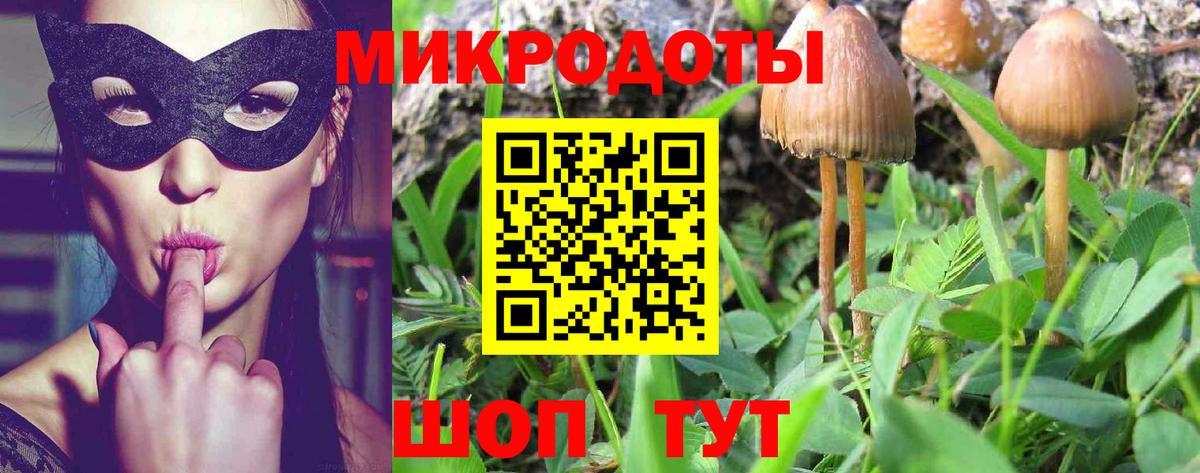 продажа наркотиков  Галлюциногенные грибы прущие грибы  Вход с VPN  Псилоцибиновые грибы Psilocybine cubensis  Новоуральск 
