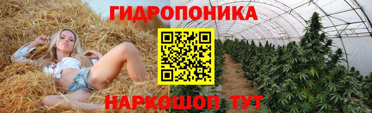Каннабис OG Kush  Марихуана ГИДРОПОН  Бошки марихуана Ganja  Новоуральск  Вход с VPN 